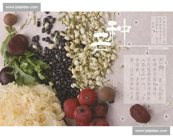 科学规划日常体力分配提升效率与健康的实用策略
